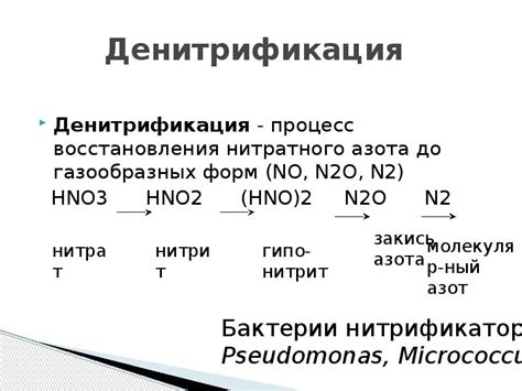 Источники нитратного азота