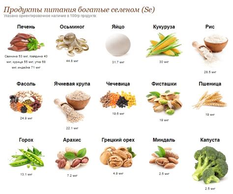 Источники пробиотиков: какие продукты ими богаты?