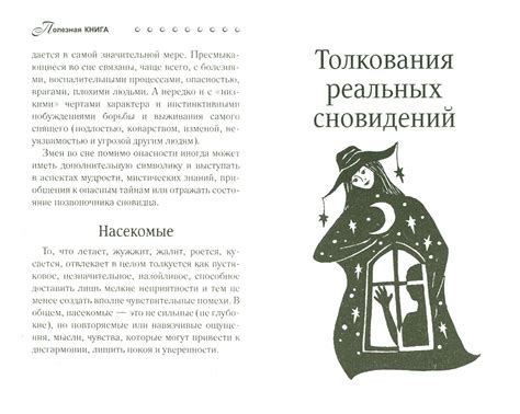 Источник предсказаний: символические сны старшей родственницы и их толкование