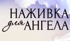 Итак, о чем расскажет статья "Наживка для ангела"?