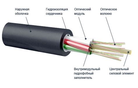 Кабель крипторха: что это и как он работает