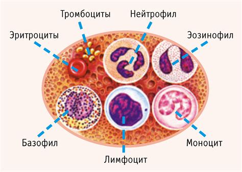 Какие бывают причины аспирации крови?