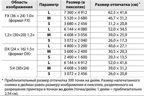 Какие бывают размеры xyz в области моды?