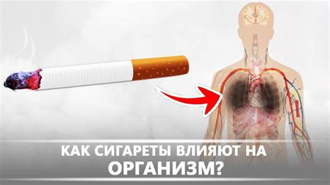 Какие вещества содержатся в куреве и как они влияют на организм?