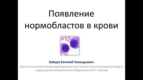 Какие возможны причины обнаружения нормобластов 1 100 в анализе крови?