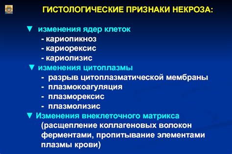 Какие гистологические изменения сопровождают некроз ткани?