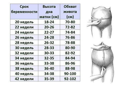 Какие движения можно ощутить во время беременности