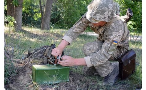 Какие действия вызывают страх у ежа