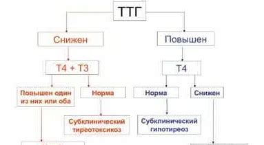 Какие заболевания могут быть выявлены при патологической ЭКГ?