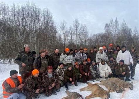 Какие законы защищают овцеводов от нападений волков