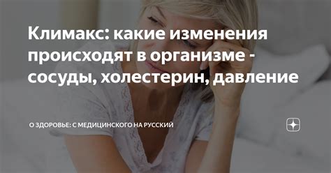 Какие изменения происходят в организме на протяжении цикла?