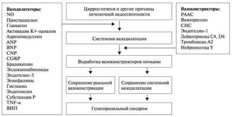 Какие методы лечения гепаторенального синдрома при циррозе существуют?