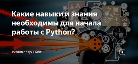 Какие навыки и знания необходимы воспитателю дошкольного образования?