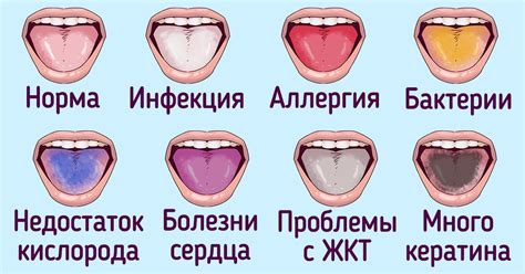 Какие плюсы может дать целование без языка и о чем оно может свидетельствовать?