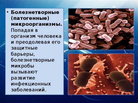 Какие причины вызывают развитие водянки?