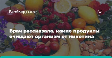 Какие продукты могут быть без никотина