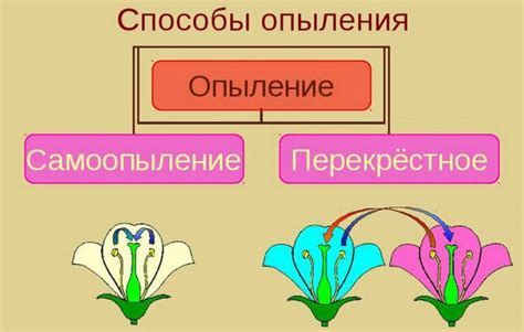 Какие способы Покаяния существуют?