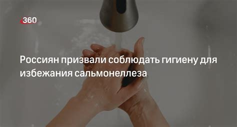 Какие сроки необходимо соблюдать для избежания пени