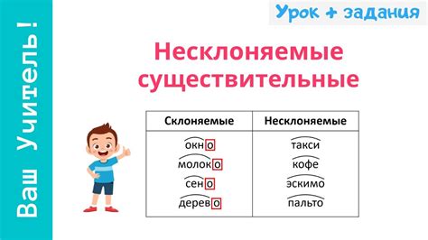 Какие существительные относятся к общему роду?