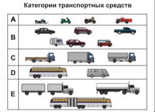 Какие транспортные средства подлежат растаможеню под зону