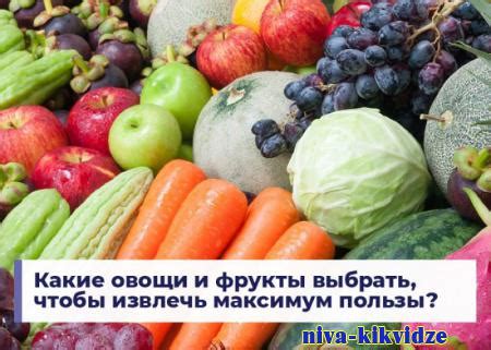 Какие фрукты выбрать