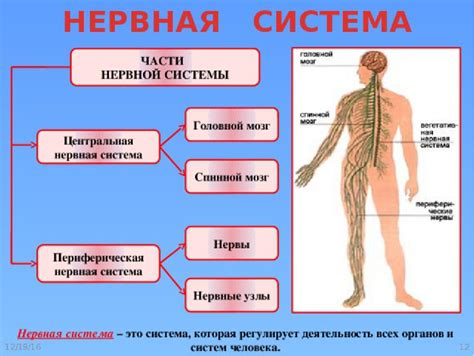 Какие функции выполняет номер РММ