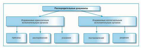 Какие функции выполняют организационно распорядительные документы?