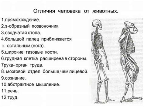 Какие характеристики отличают беспонтового человека от обычного?