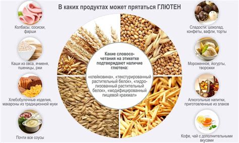 Какова роль глютена в пшенице?