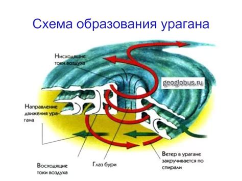 Какова структура урагана?