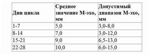 Какова цель М эхо 22мм?