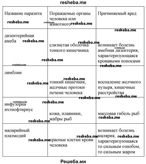 Каково значение "другого здесь"?