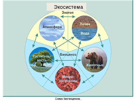 Каково значение Угвея для природы и экосистемы