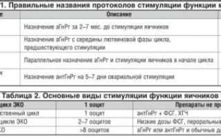 Каково значение длинного протокола при ЭКО?