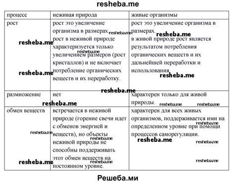 Каковы характеристики Коди?