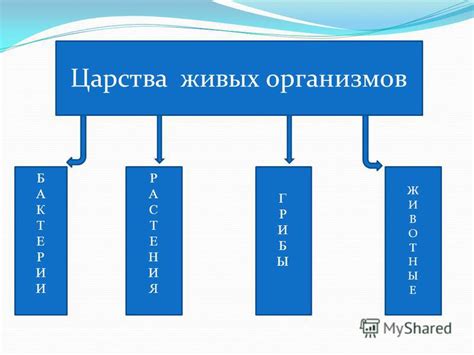 Каковы характерные черты сплоченной группы?