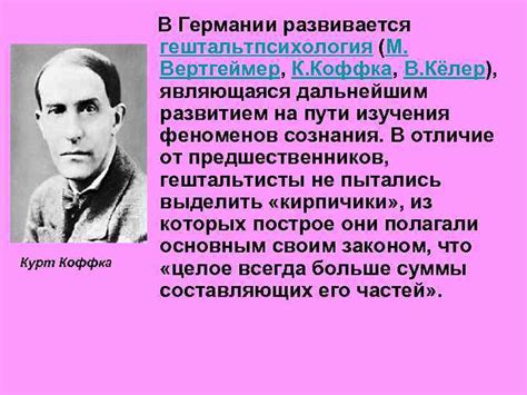 Каков происхождение термина "слипоны"?