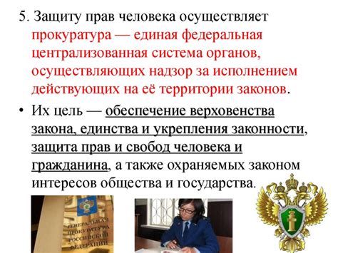 Какое значение имеет "труд свободен" в контексте прав человека?