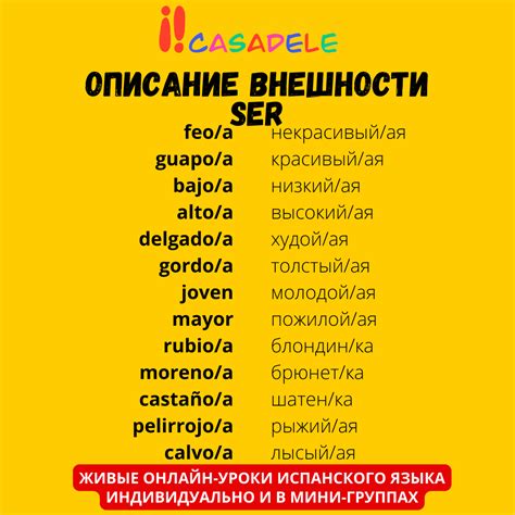 Какое значение имеет выражение "lo siento" на испанском языке?