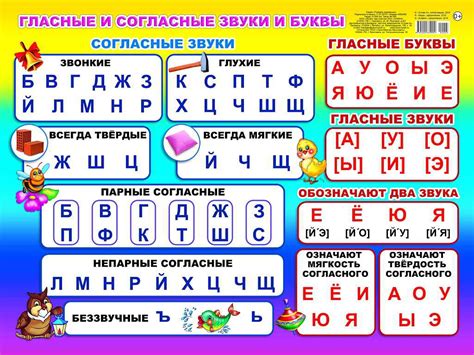 Какое значение имеют буквы в номере голубя