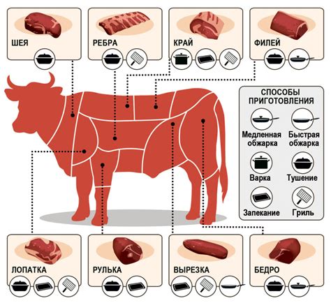 Какой вид говядины подходит для тушения и как выбрать лучший?