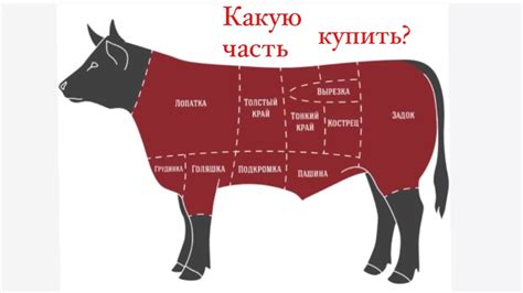 Какой вид мяса лучше выбрать для тушения?