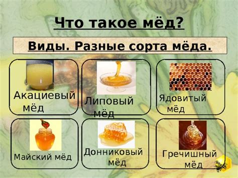 Какой мед считается монофлорным?