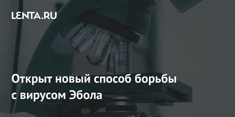 Какой объем исследований проводится для борьбы с вирусом эбола?