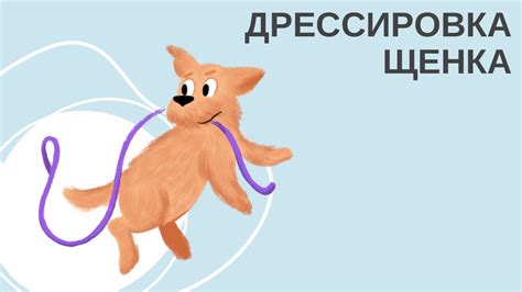 Какую роль играют игры в поведении щенка?