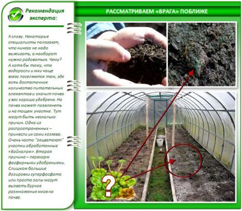 Как бороться с полной землей?