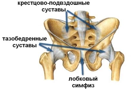 Как ведут себя суставы при тазобедренном суставе