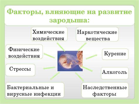 Как влияет на свойства нервной системы наличие альбиноса?