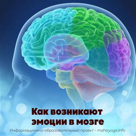 Как возникают эмоции у женщины во сне о нападении паразита на верхнюю конечность?