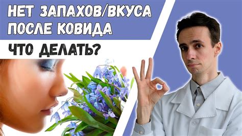 Как восстановить нюх после его потери?